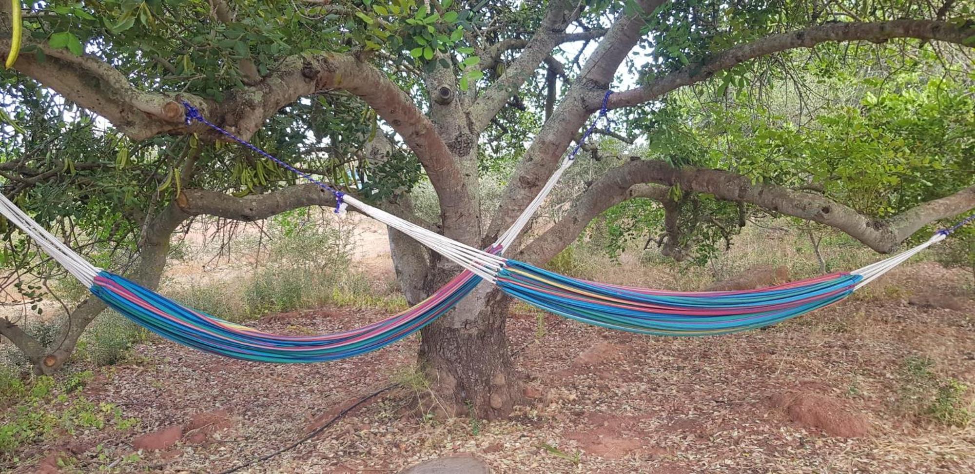 فيلا Quinta Da Fornalha - Santuario Agroecologico كاسترو ماريم المظهر الخارجي الصورة